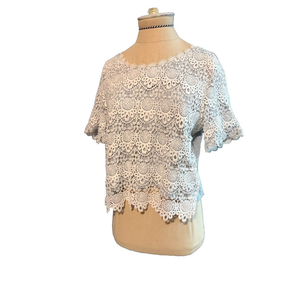 H&M Divided Gray Beige Lace Overlay Crop Top Tee Medium